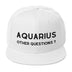 Aquarius Unisex Snapback Premium Hat by Laughs To Self